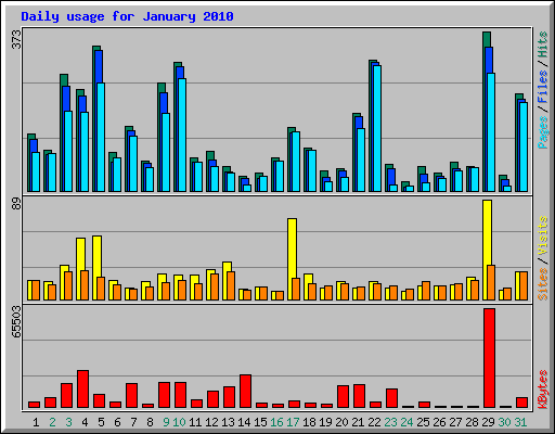 Daily usage for January 2010