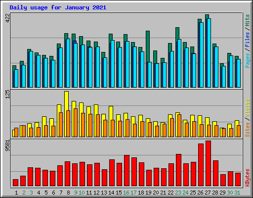 Daily usage for January 2021