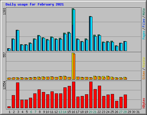 Daily usage for February 2021