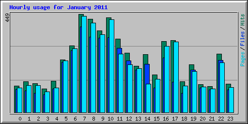Hourly usage for January 2011