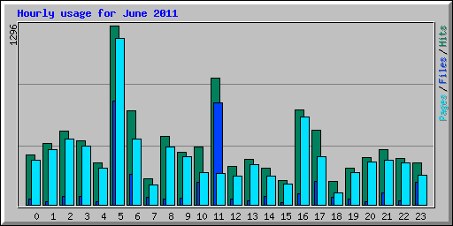 Hourly usage for June 2011