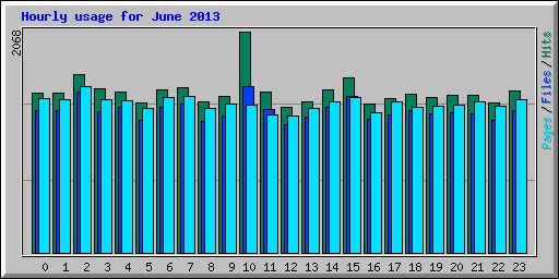 Hourly usage for June 2013