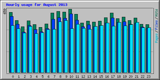 Hourly usage for August 2013