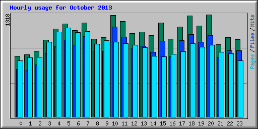 Hourly usage for October 2013