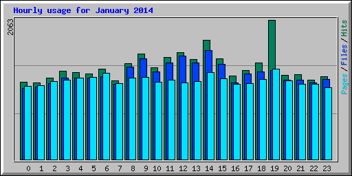 Hourly usage for January 2014