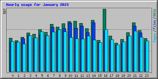 Hourly usage for January 2015