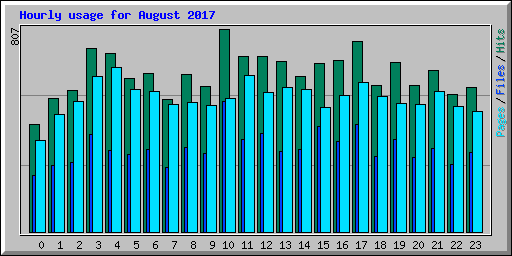 Hourly usage for August 2017