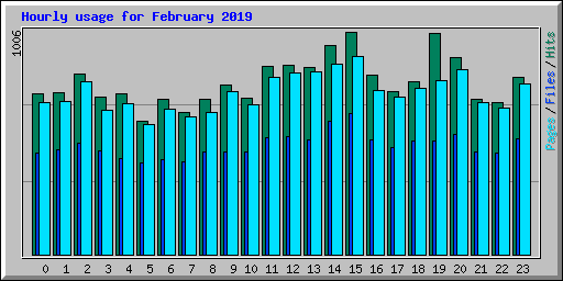 Hourly usage for February 2019