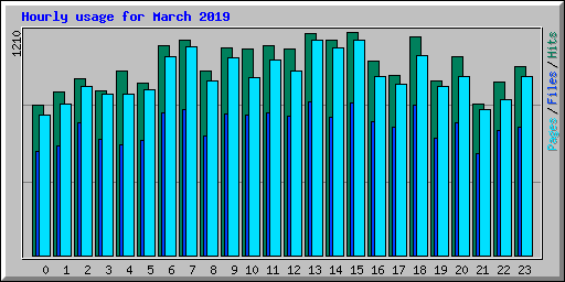 Hourly usage for March 2019