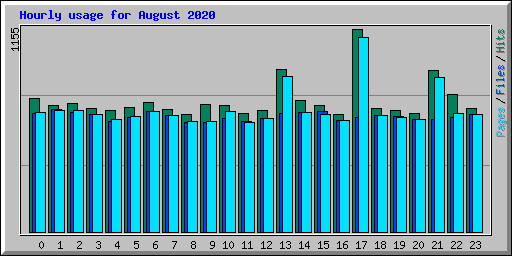 Hourly usage for August 2020