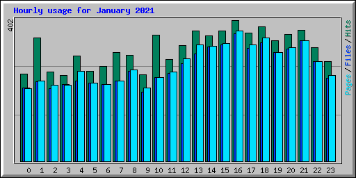 Hourly usage for January 2021