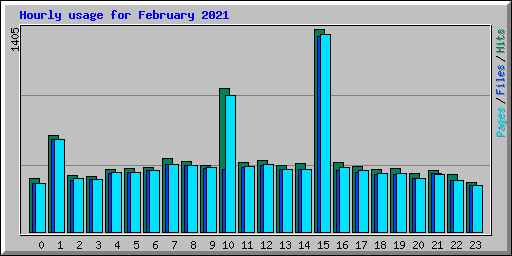 Hourly usage for February 2021